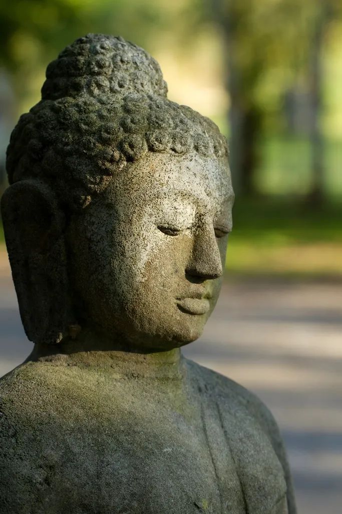 A weathered stone Buddha figure resting among soft greenery